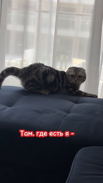 1000010312.mp4