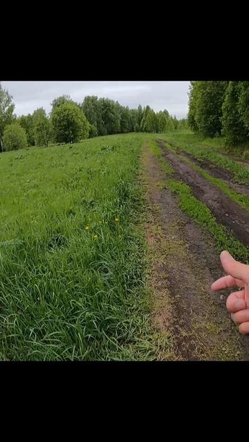 Ветер в помощь.