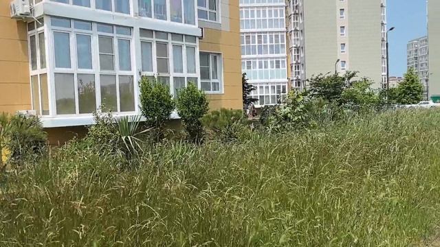 Анапа. жк Времена года.