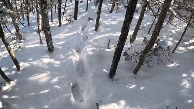 Зимние забавы 3. Лысый дед 2024
