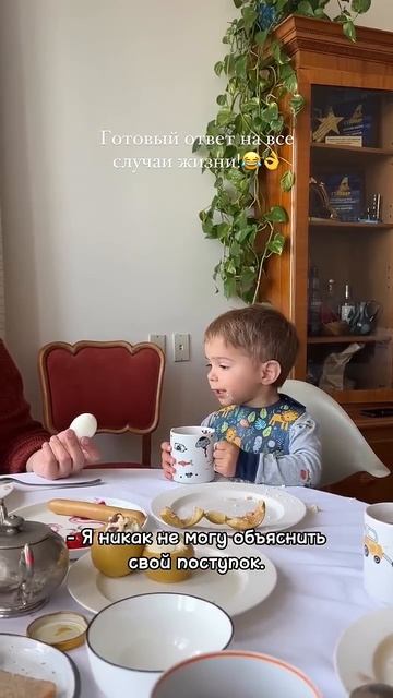 Лёвка очень хорошо запоминает все мои науськивания и к месту умеет воспользоваться арсеналом 👌🤪