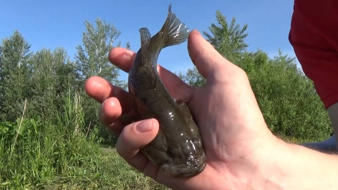 Пробный выезд на рыбалку после подъема воды
