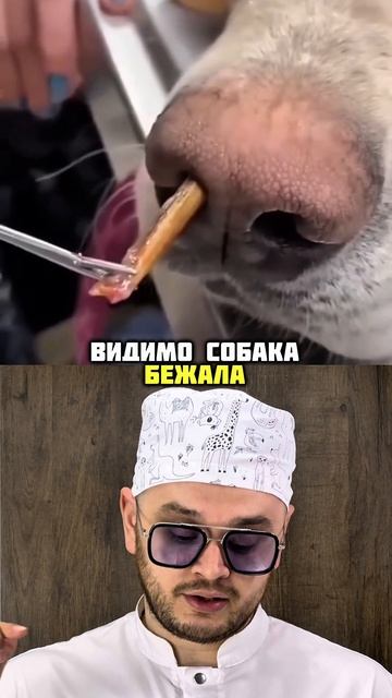 Инородное тело в носовой полости 🐶