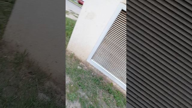Поиска нового бандита ярика.