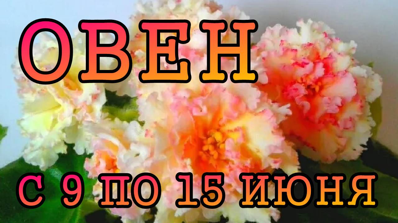 ОВЕН таро прогноз на неделю с 9 по 15 ИЮНЯ 2025 года.