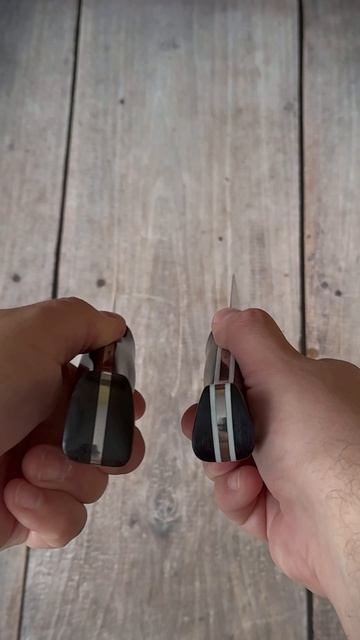 Пойнтер Магнум и Америка 2.0 Beaverknife