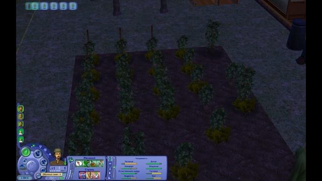 Королевство Sims 2. День 18. Крепостные Крестьяне.