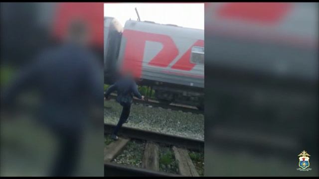 Средневолжской транспортной полицией установлены четыре группы подростков, кидавших камни в поезда