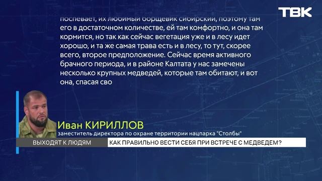 Нашествие косолапых: медведей стали чаще замечать в пригороде Красноярска и поселках края