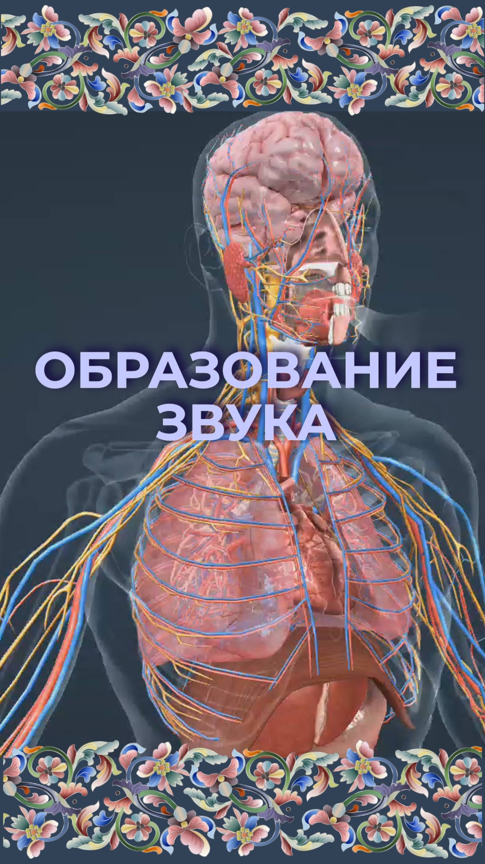 Образование звука