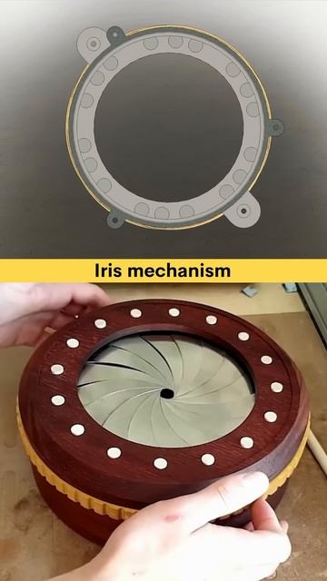 Iris Mechanism ✅ #cad #engineering #mechanics #prototype #3dvisual #iris #mechanicalengineering