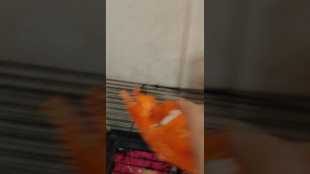 1000000556.mp4