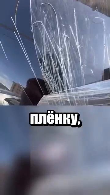 i11ushenka (158)