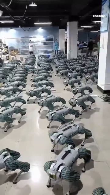 Тестирование на заводе роботов - 2024 год