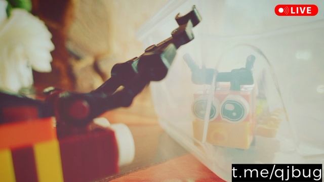 Приключения пластмассовых жучков - QJ BUG - DJ MARKOVICH - фестиваль электронной музыки 2025 СПб