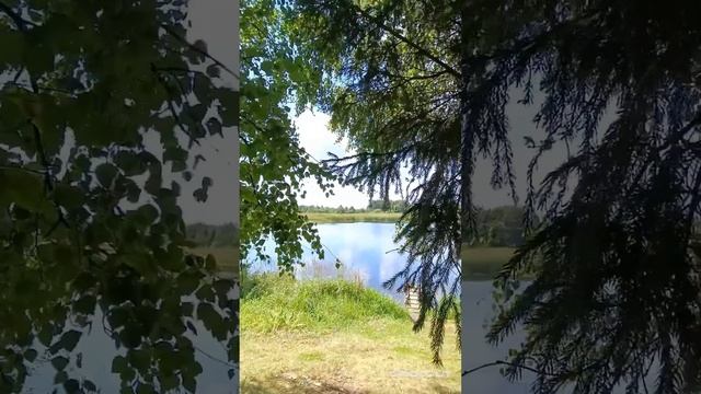 МОЯ РОССИЯ БЕЛОСТВОЛЬНАЯ