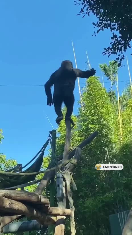 Начинаем утро с йоги!😅