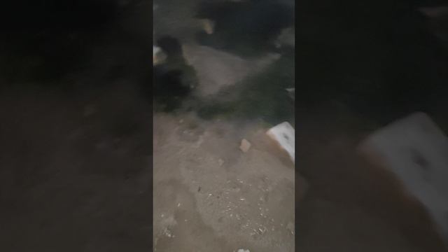 Канализация засорилась. Нужна помощь