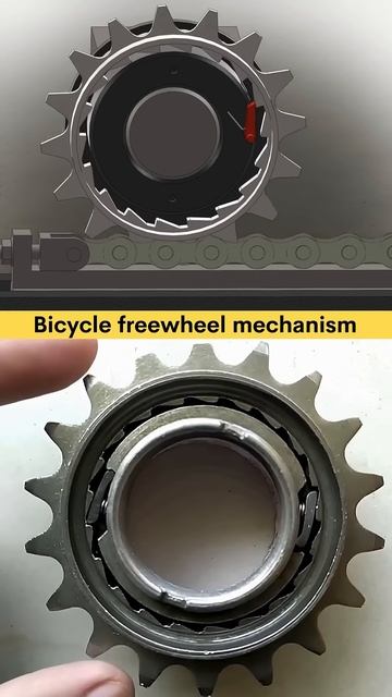 I finally discovered how a bicycle freewheel works 😊 Bicycle Freewheel Mechanical Working principle