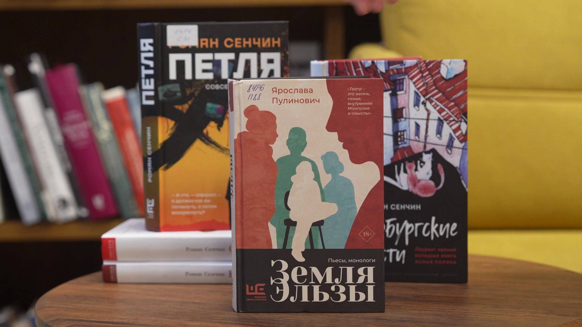 Ярослава Пулинович «Земля Эльзы»