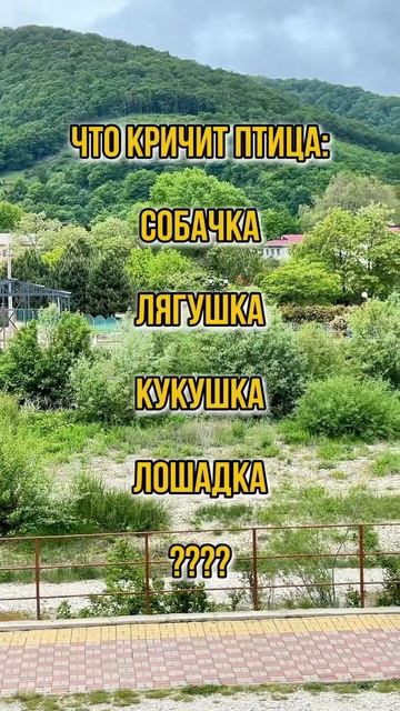 Викторина