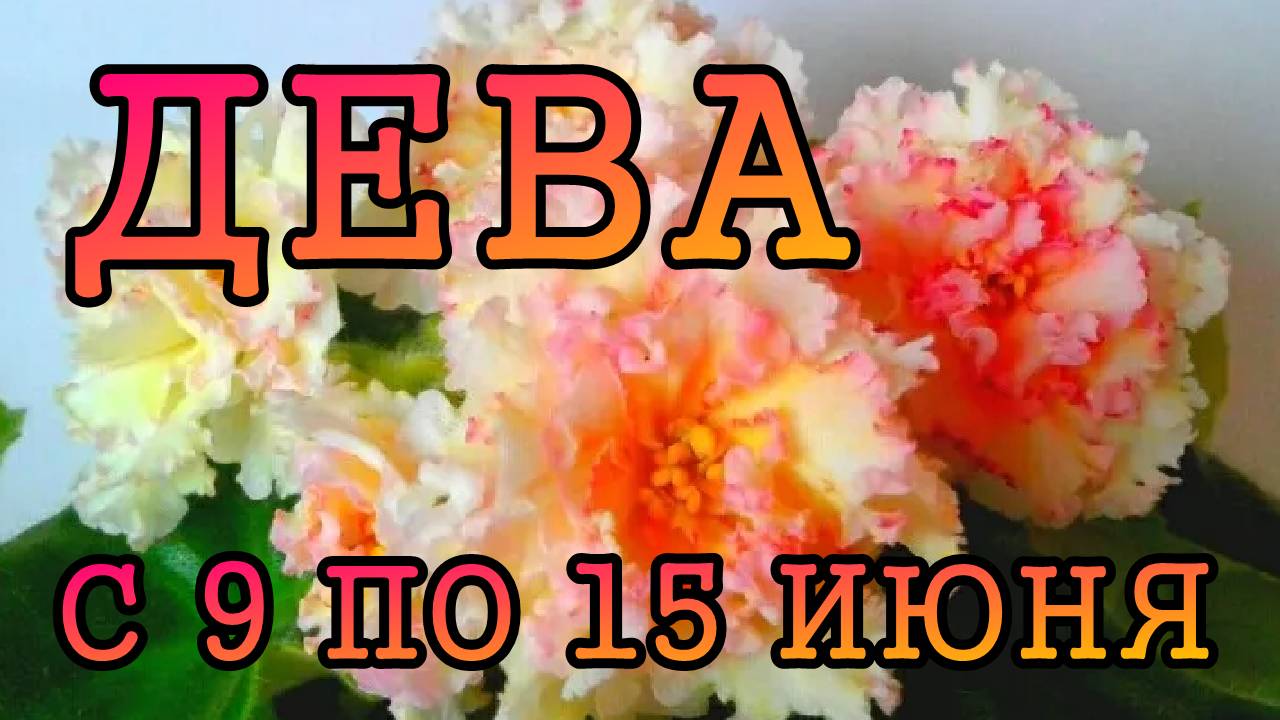 ДЕВА таро прогноз на неделю с 9 по 15 ИЮНЯ 2025 года.