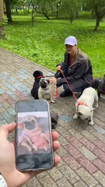 Не думал, что столько эмоций могут давать собаки 🐶😍 ?