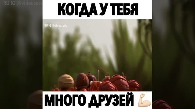Когда у тебя много друзей 💪