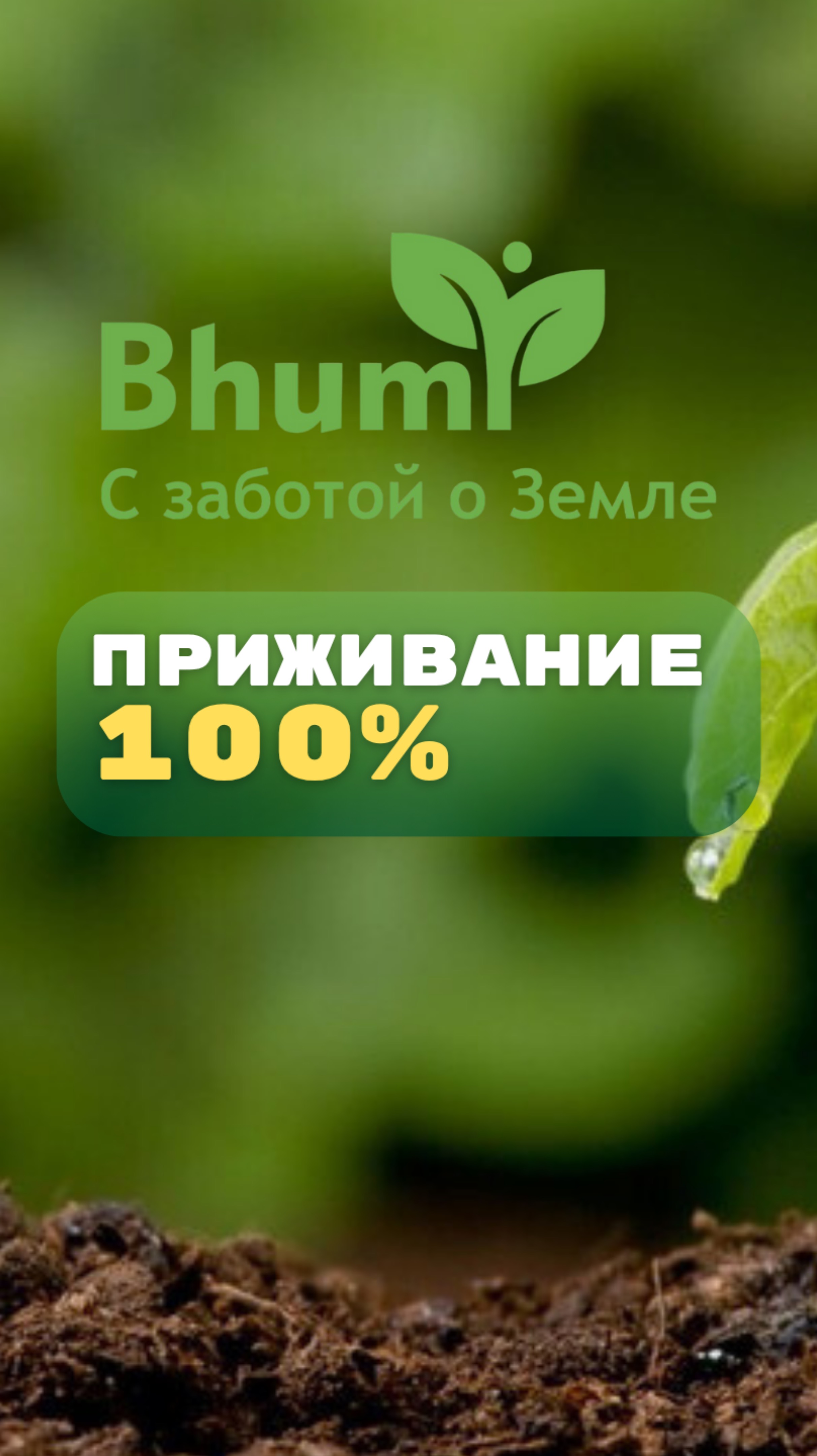 100%ное приживание #метод #посадка #органика #сад #лесосад #bhumi