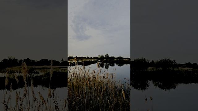 Рыбалка 🐟 в живописных местах Ярославской области