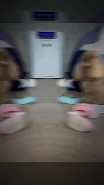 Edit