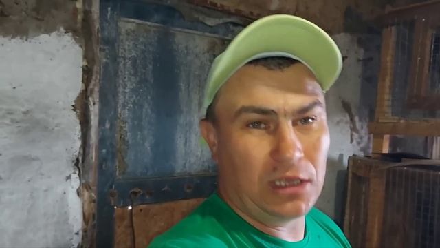 Подарили нового жильца. Какой вес тюков???
