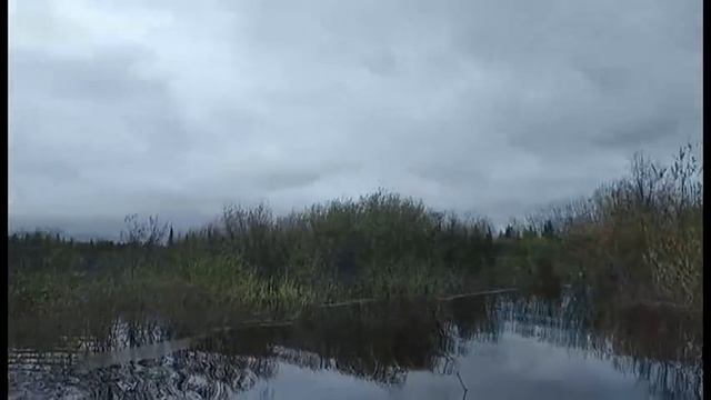 1000081139.mp4
