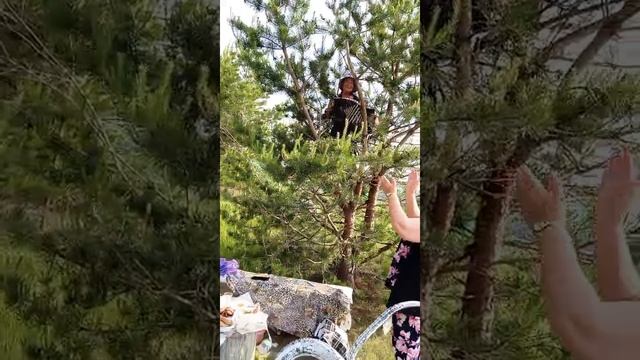 VID-20250604-WA0011.mp4