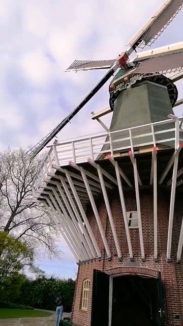 Keukenhof. Holland. Mill. Кëкенхоф. Голландия. Мельница