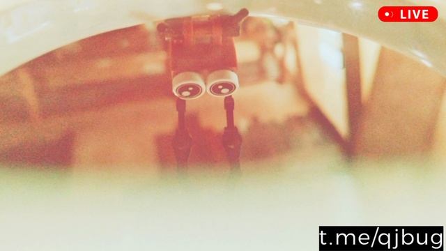 Приключения пластмассовых жучков - QJ BUG - DJ MARKOVICH - фестиваль электронной музыки 2025 Сочи