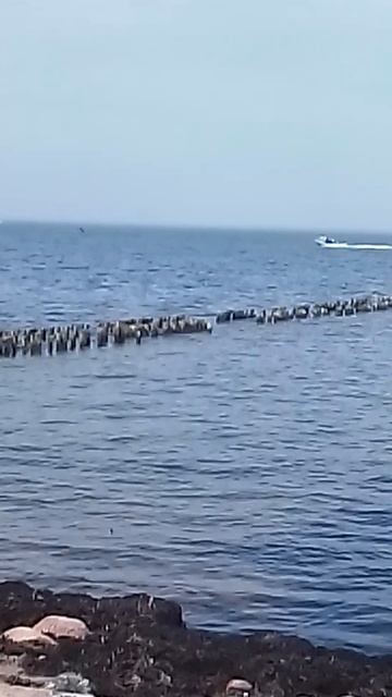 море