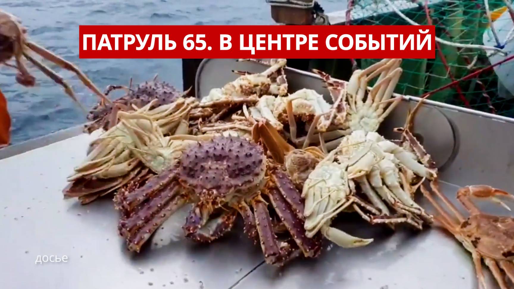 ПАТРУЛЬ 65. Крабовая мафия, опасные дороги и браконьерский рейд. Происшествия на Сахалине 05.06.25