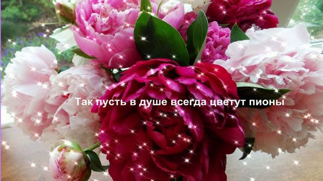 ПИОНЫ