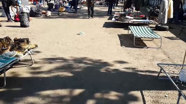 VID-20250605-WA0070