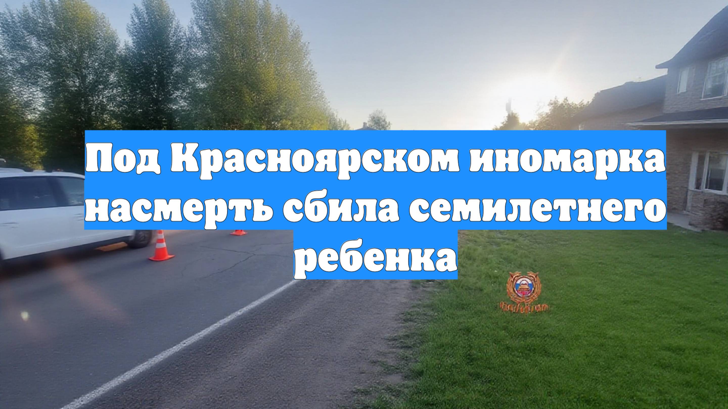 Под Красноярском иномарка насмерть сбила семилетнего ребенка
