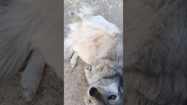 1000003506.mp4
