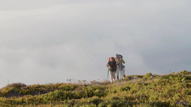 Эта музыка заставит ваше сердце биться чаще - попробуйте не плакать! - Curious Satellite -- Frau Hol