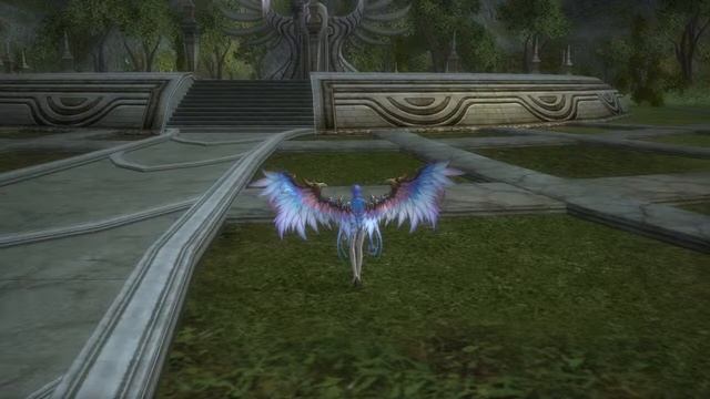 Крылья Лесного Дракона