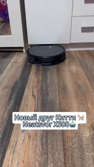 С тех пор как я приобрел Neatsvor X500, уборка стала настоящим удовольствием. #Neatsvor #робот-пылес