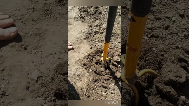 Готовлю ряды под томаты