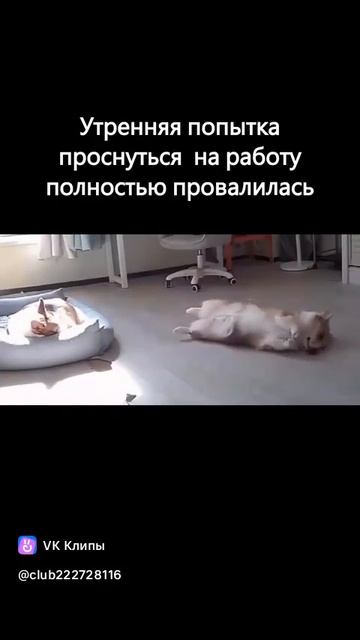 Не проснулся
