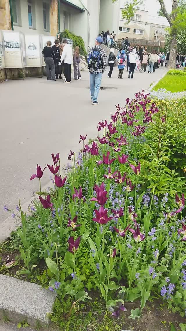 День защиты детей