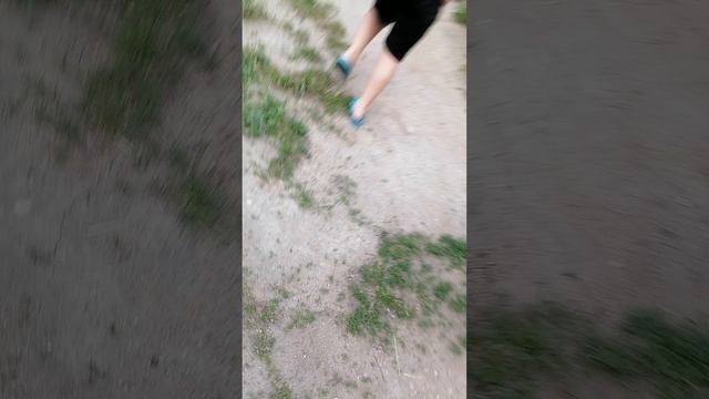 Погоня за заключённым из беларусии 2часть.