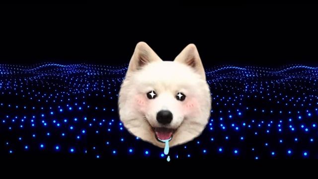 STON.FI : О чем молчат крупные инвесторы?